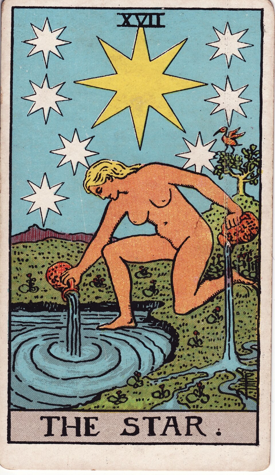 XVII — LA STELLA